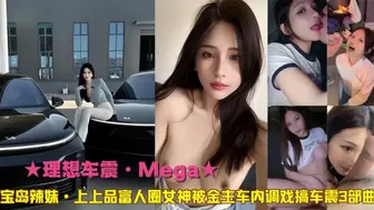 理想车震·富人圈女神车内调戏搞车震3部曲