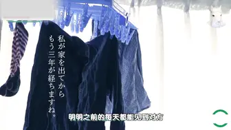 喜闻乐见系列之正经解说AV第二十六集