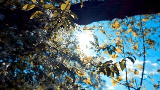 23【白城出品】第十部《官官》全集